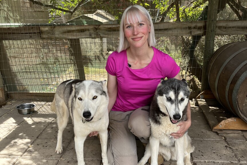 A woman kneels between two husky dogs