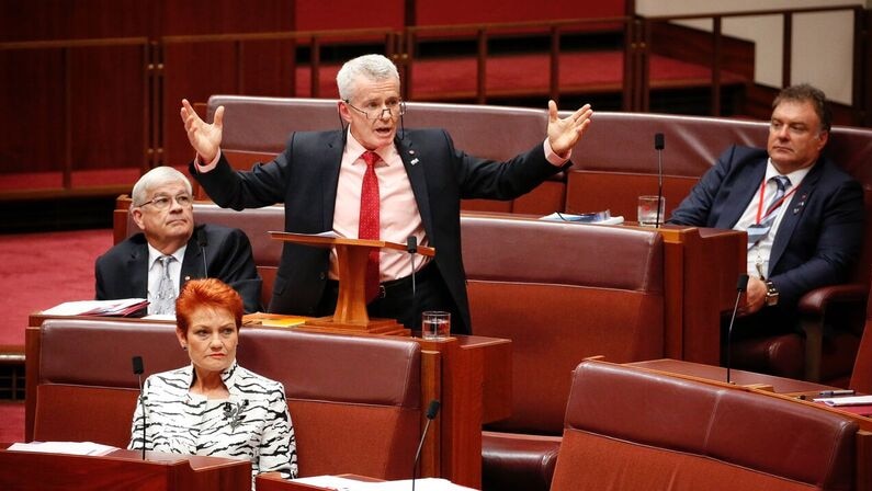 New One Nation senator Malcolm Roberts raises his arms during his maiden speech in Parliament, Pauline Hanson sits in front.
