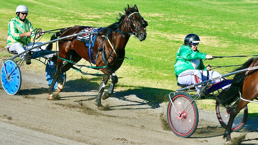 Horses running on a dirt track pulling two harnesses with people wearing green jackets and helmets