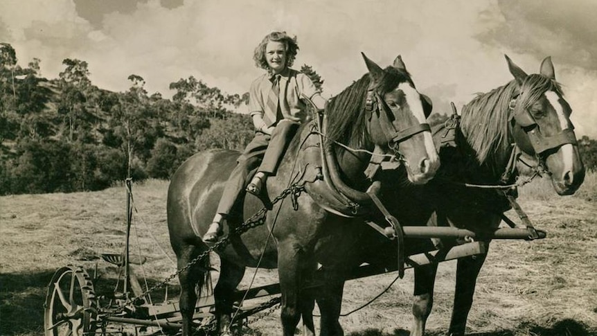 Female farmer on a horse
