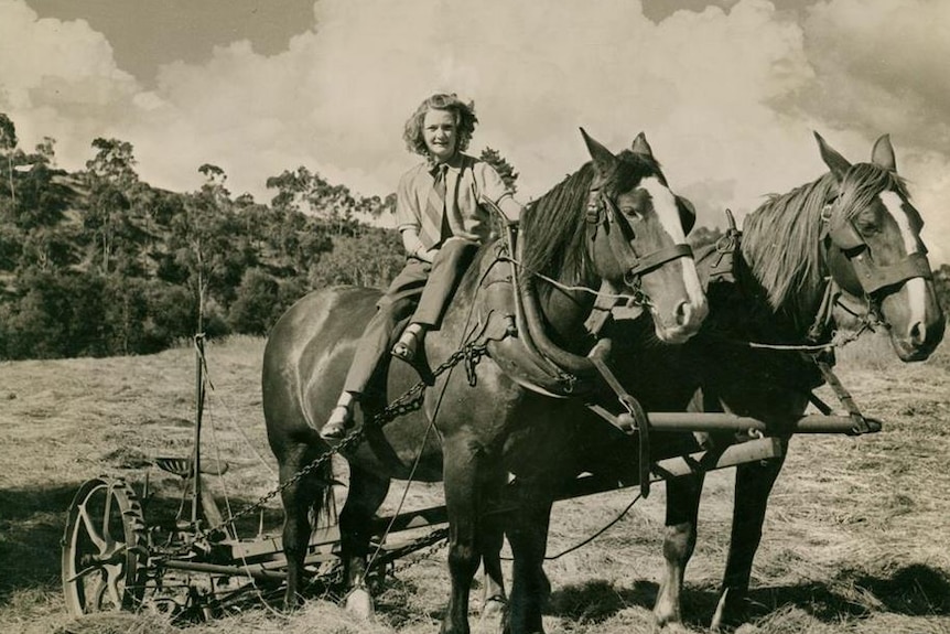 Female farmer on a horse