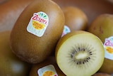 A plate of gold kiwifruits with the Zespri label visible. 