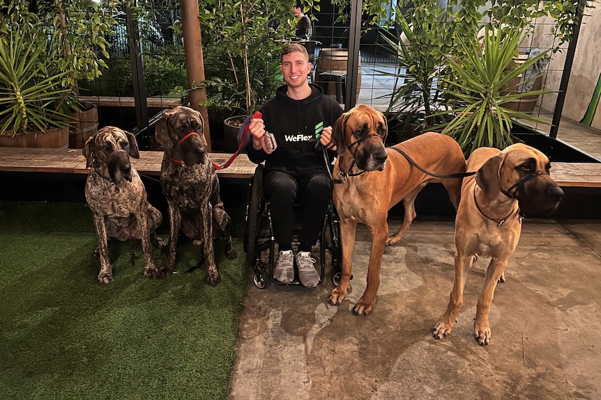 Jacob Darkin sits in his wheelchair smiling, holding the leads of many dogs.