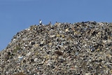 Lebanese men stand on top of a mountain of garbage