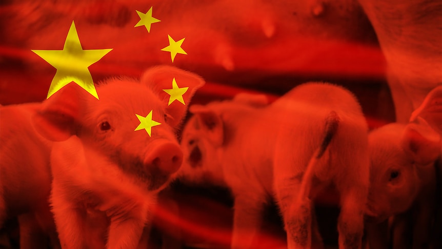 A graphic of the Chinese flag with pigs superimposed over the top. 