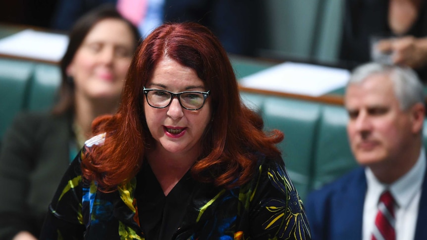 Melissa Price speaking in Parliament.