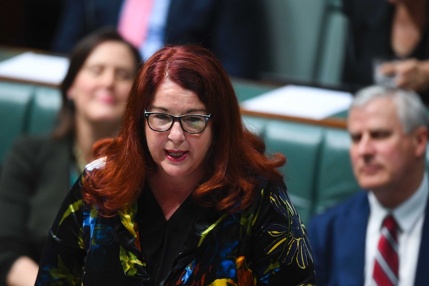 Melissa Price speaking in Parliament.