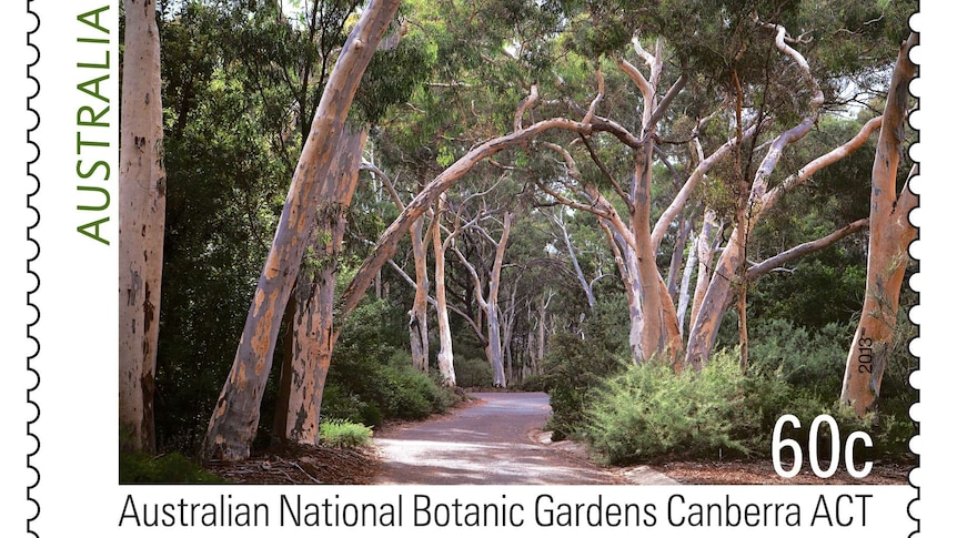 The Australian National Botanic Gardens in Canberra.