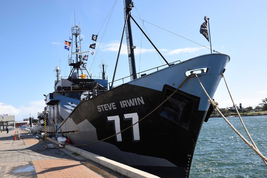 Sea Shepherd's Steve Irwin