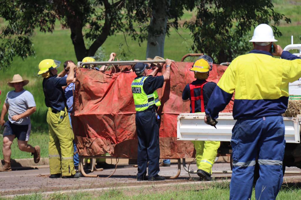 Cattle loose after crash between road train, ute and car at busy Darwin