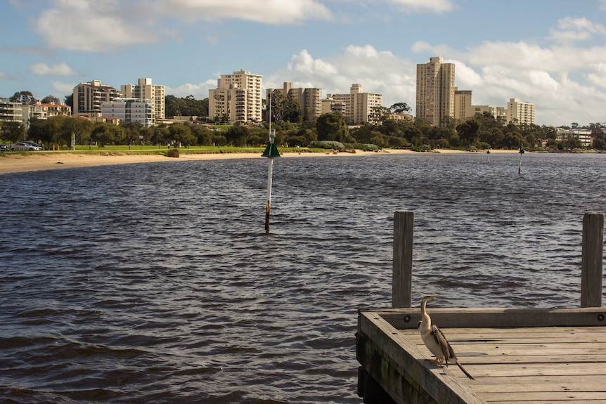 Perth councils push to regulate Airbnb as listings climb