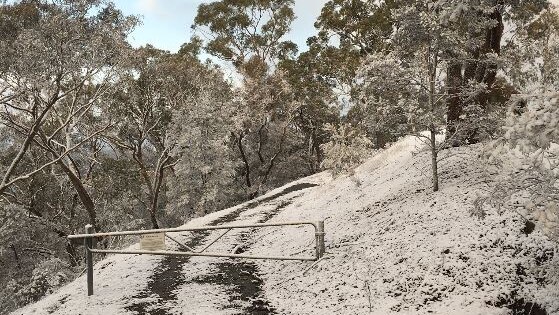 Snow dusts Mount Ainslie this morning.
