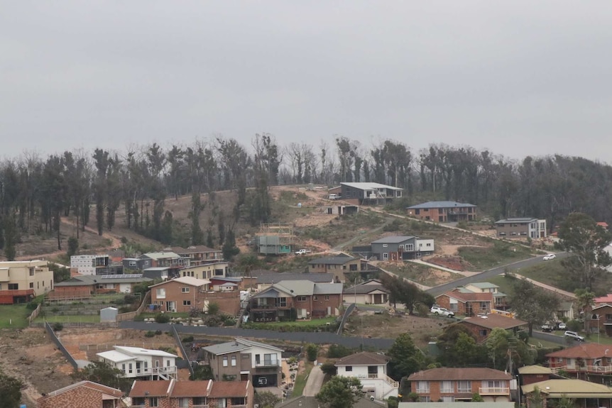 Houses on a hill, with some empty lots and construction sites.