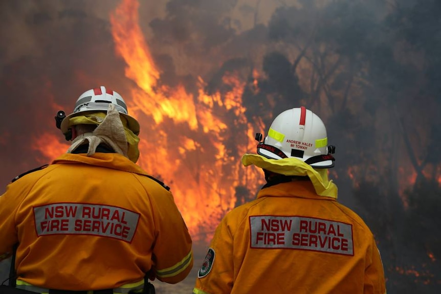 NSW RFS face the Wentworth Falls blaze