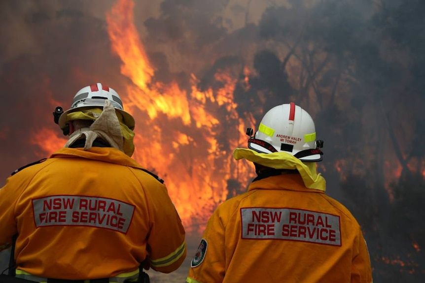 Two firefighters stand in front of a blaze at Wentworth Falls in the Blue Mountains, August 3, 2015.