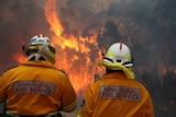 NSW RFS battle a blaze at Wentworth Falls in the Blue Mountains, August 3, 2015.