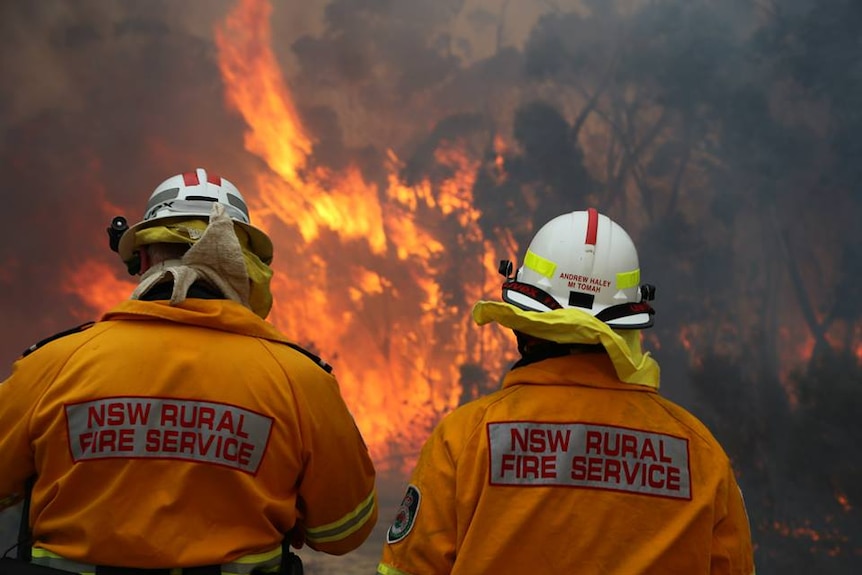 Two firefighters stand in front of a blaze at Wentworth Falls in the Blue Mountains, August 3, 2015.