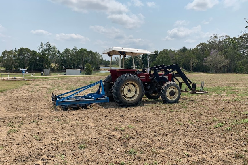 The Wiking Rollavator in a paddock.