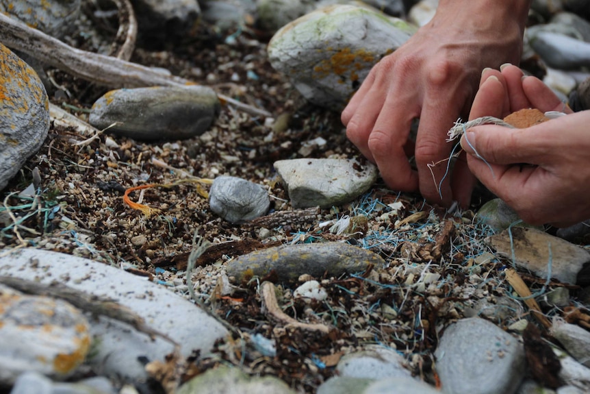 A volunteer collects rubbish from a remote beach