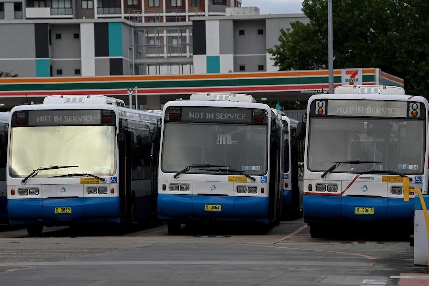 Three buses parked in a line. 