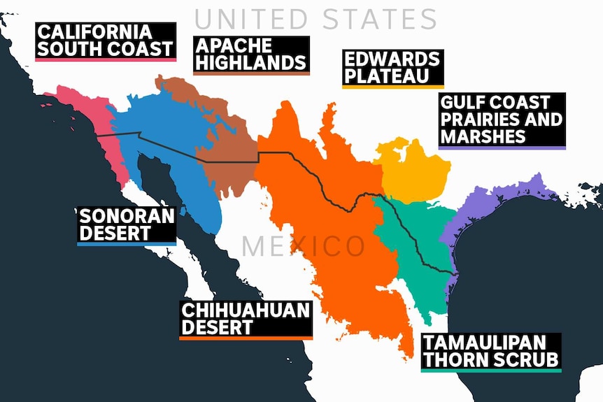 You look at a map of ecosystems along the US-Mexico border.