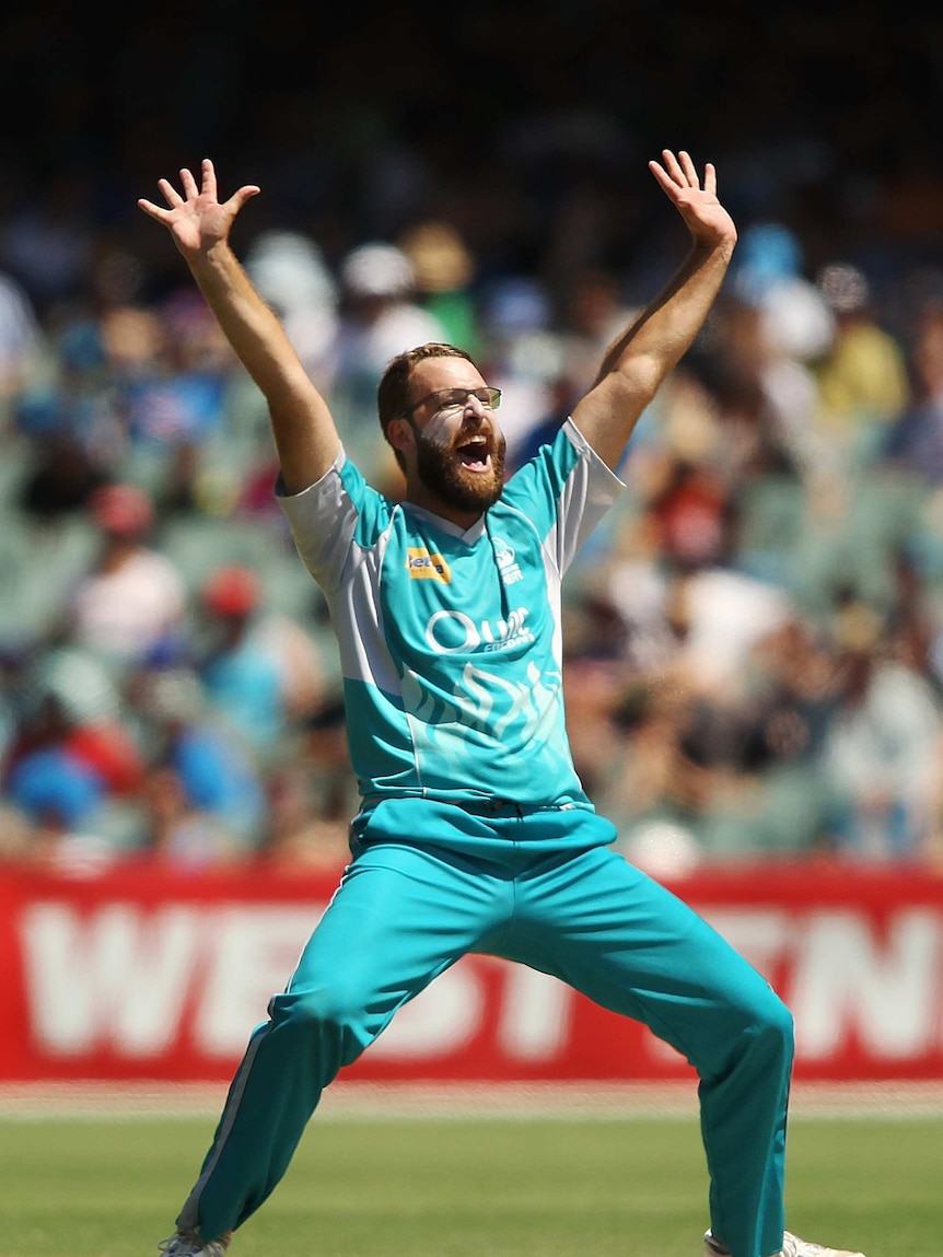 Daniel Vettori appeals for the Brisbane Heat