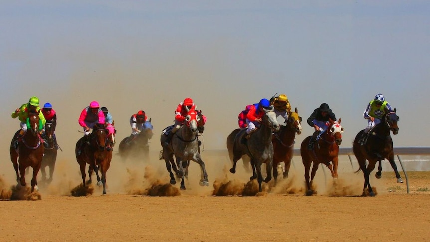 Competitors run in Birdsville races in far south-west Queensland in September 2009.