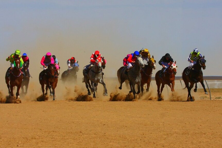 Competitors run in Birdsville races in far south-west Queensland in September 2009.