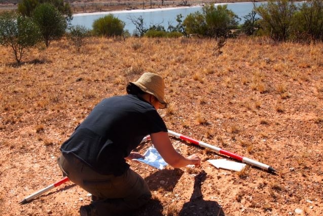 A female scientists wearing a brown hat crouches on dirt ground at a dig site near the River Murray.