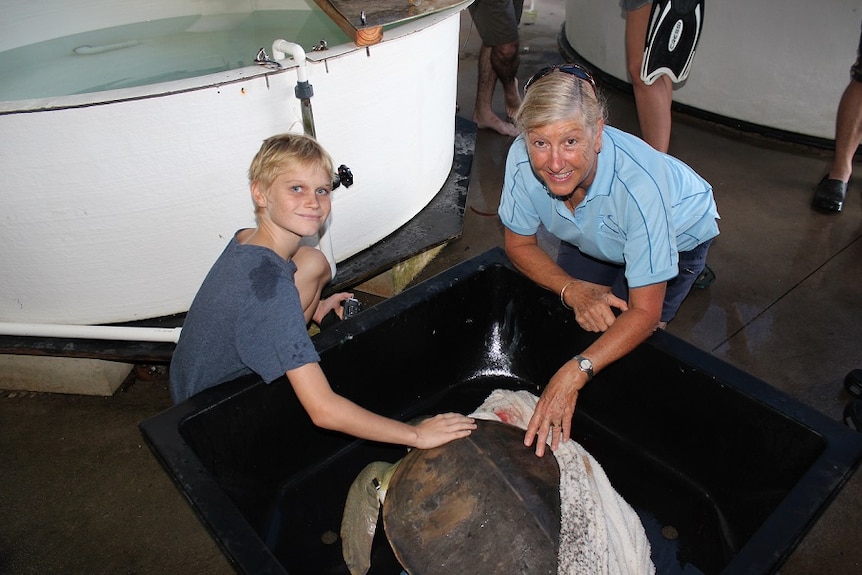 Shelly's rescuer Ross Willis helps Jennie Gilbert from the Cairns Turtle Rehabilitation Centre prepare Shelly for release.