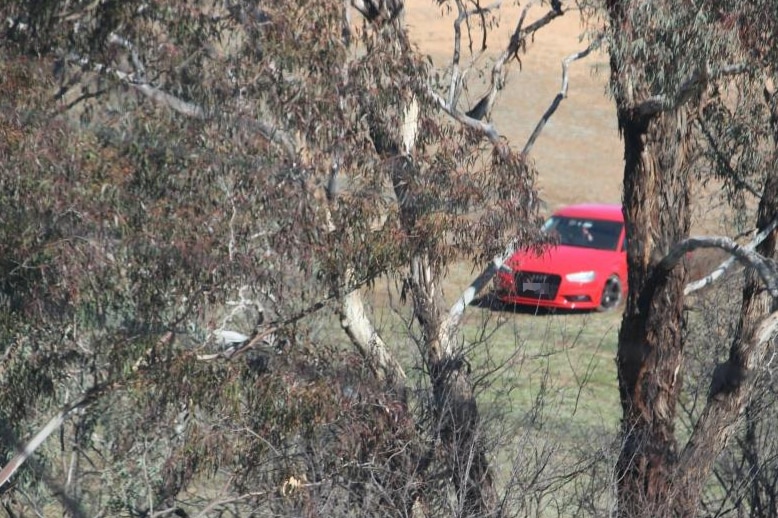 A red sedan drives along grasslands.