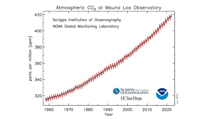 A graph shows rapid increase of carbon dioxide in the atmosphere.