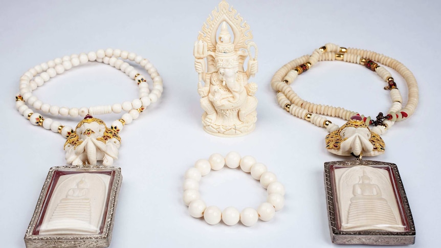 Ivory jewellery and ornaments seized in Sydney raids