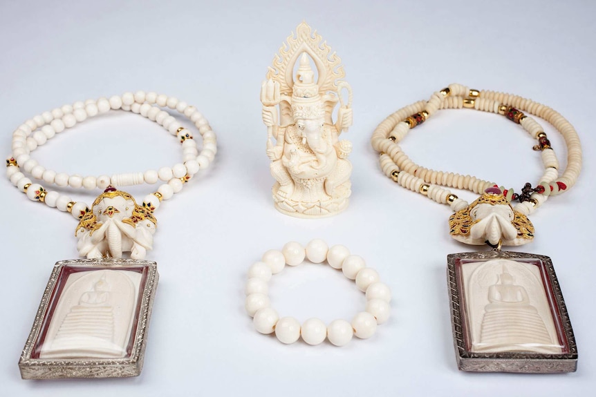 Ivory jewellery and ornaments seized in Sydney raids