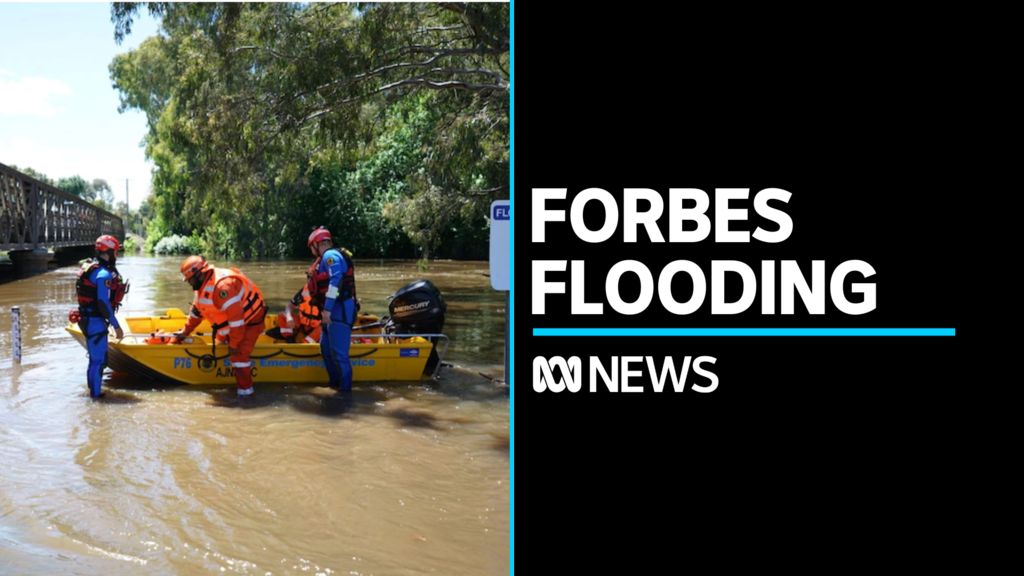 Play Video. Duration: 1 minute 42 seconds