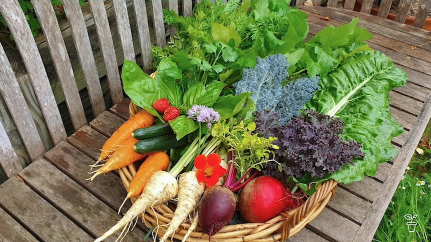Cane basket filled with a variety of garden vegies.