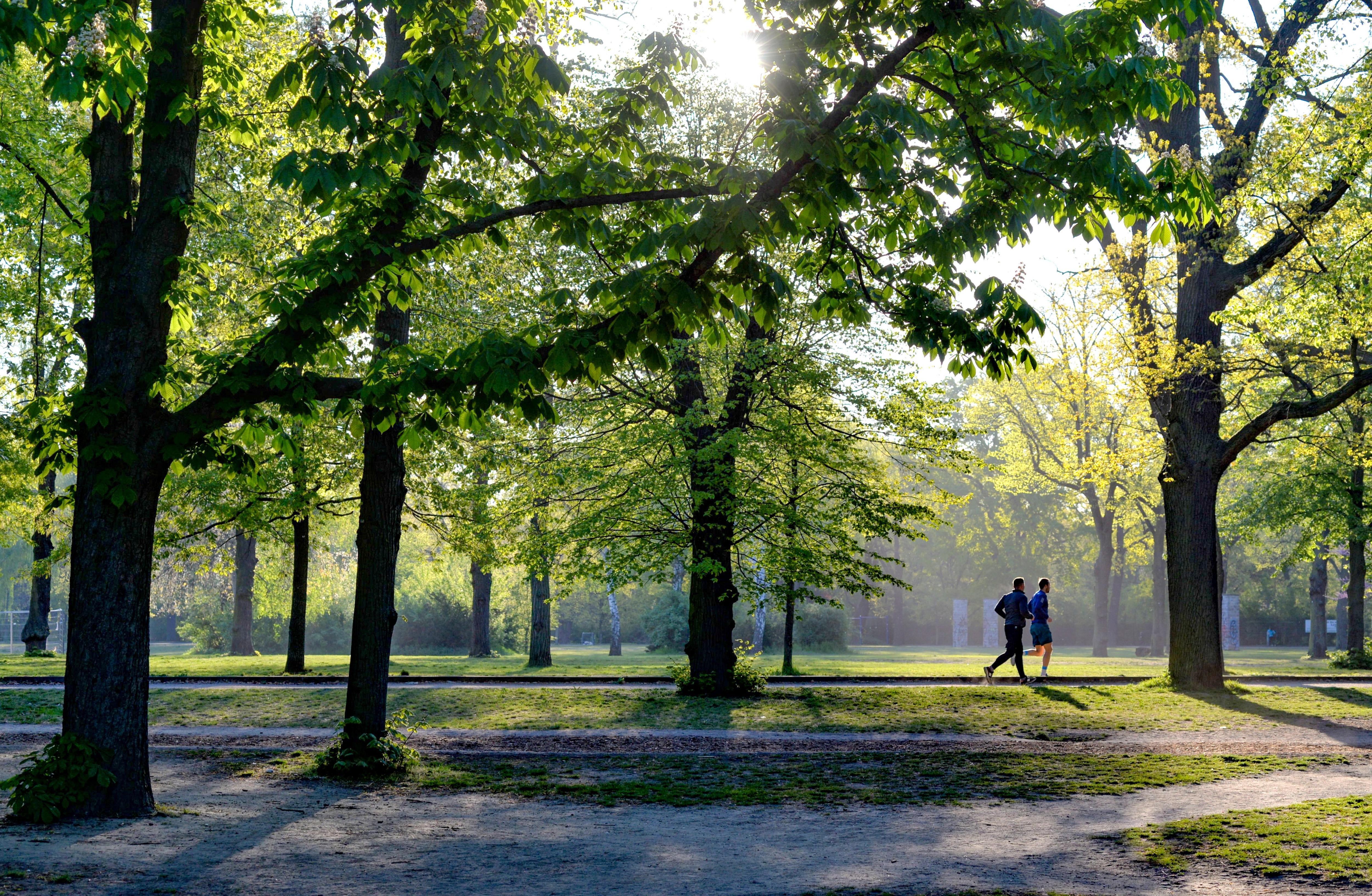 The parkrun phenomenon — and which runners keep coming back - ABC listen