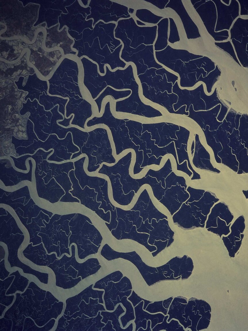 A river delta seen from space shows lots of curly aquatic lines tracing out to sea.