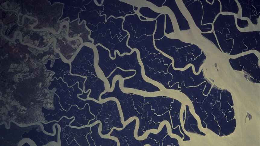A river delta seen from space shows lots of curly aquatic lines tracing out to sea.