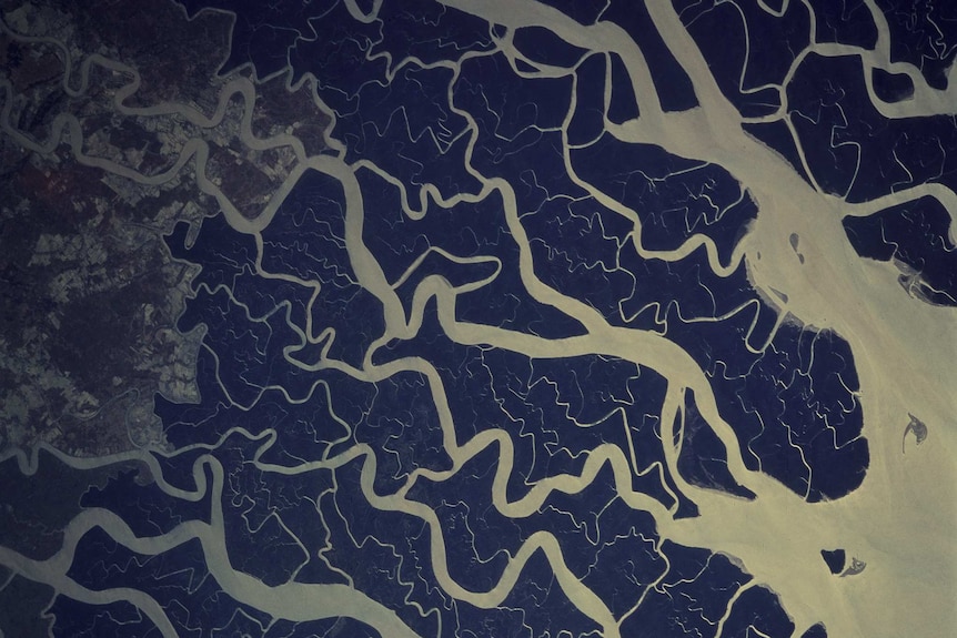 A river delta seen from space shows lots of curly aquatic lines tracing out to sea.