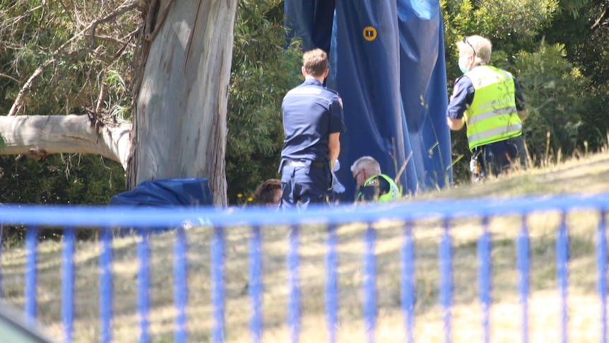 A deflated blue jumping castle hands in a tree