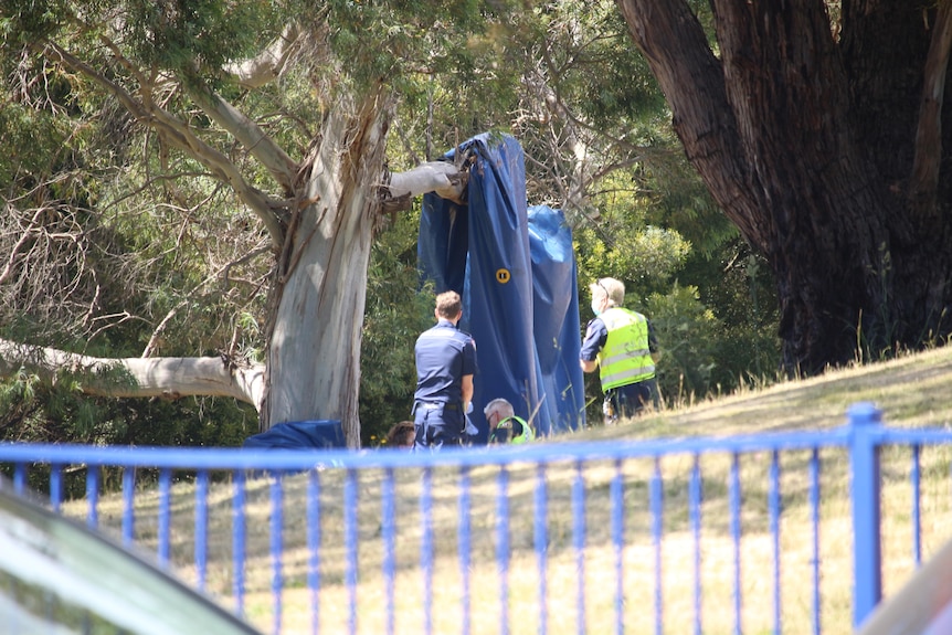 A deflated blue jumping castle hands in a tree