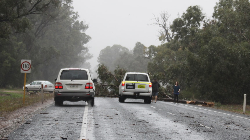 Travellers stop to remove damaged trees that obstruct a WA highway.