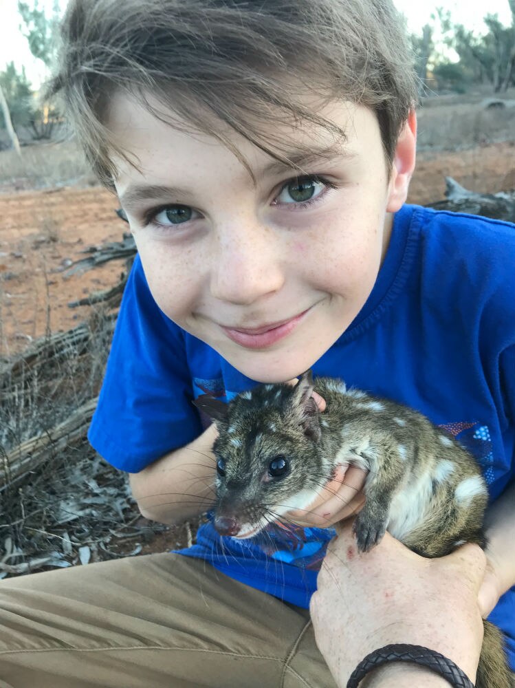 A young smiling boy in a blue shirt holds a small spotted marsupial, with an adult hand helping.