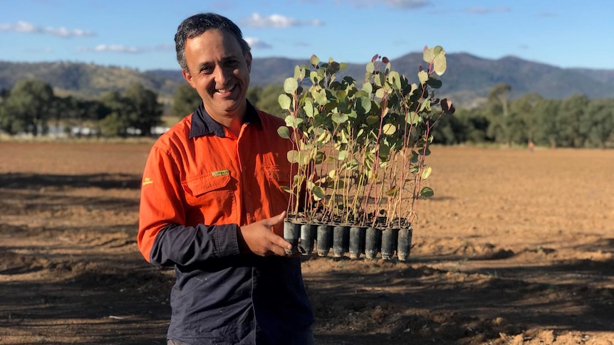A man stands smiling, holding young trees ready to plant.