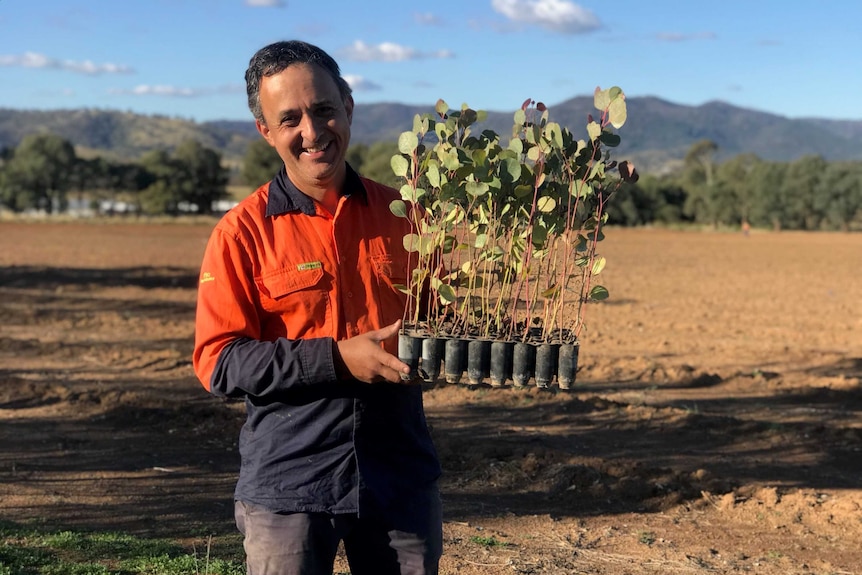 A man stands smiling, holding young trees ready to plant.