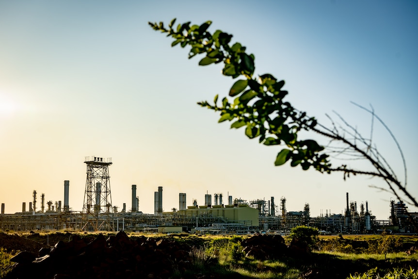 Woodside gas plant, with a branch seen in the foreground.