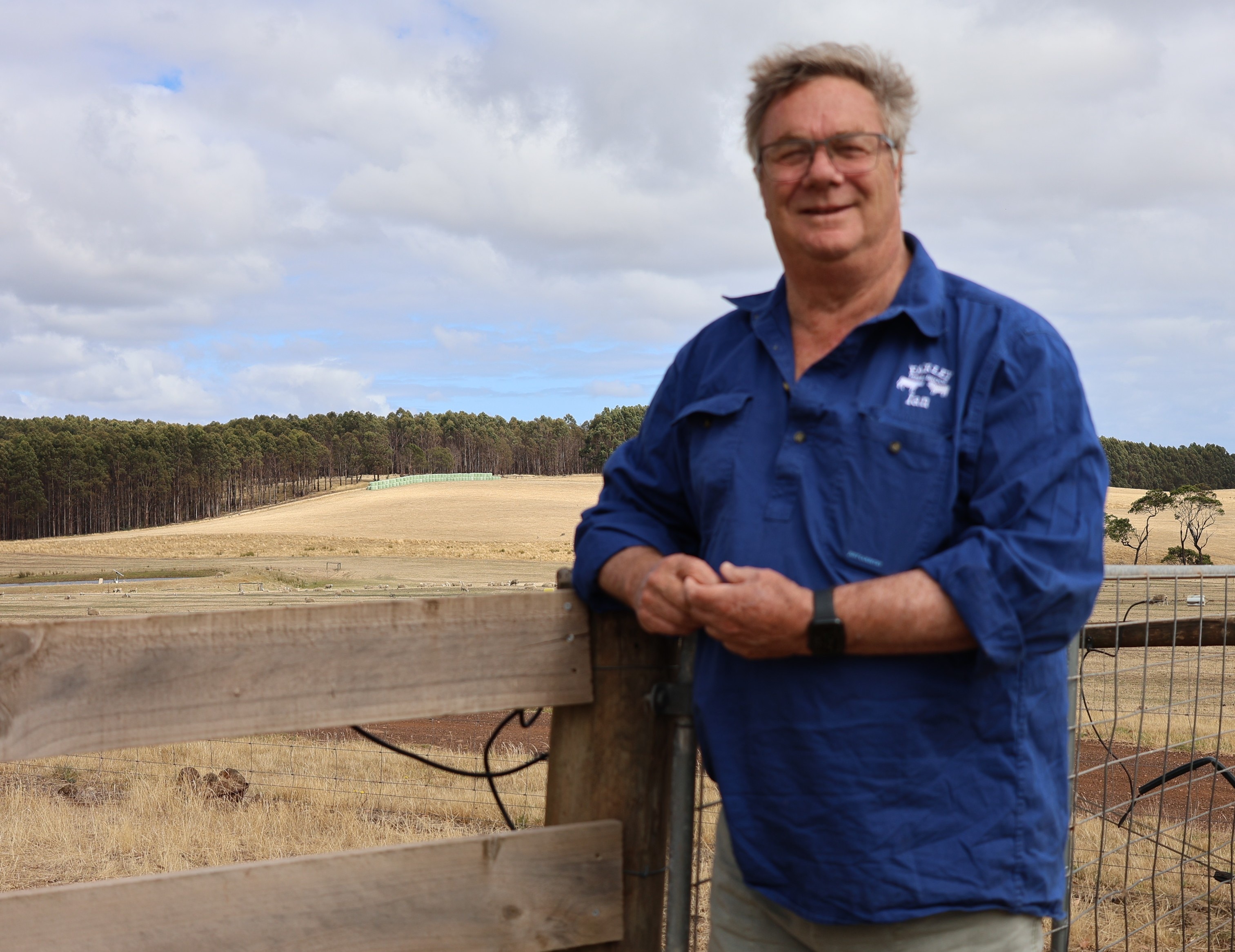 tree species a man leans on a fence in front of a paddock
