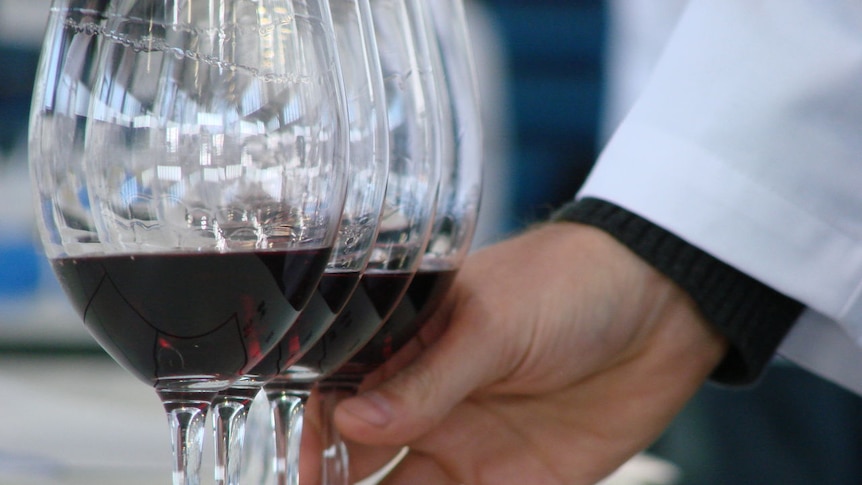 A judge picks up a glass, ready to taste