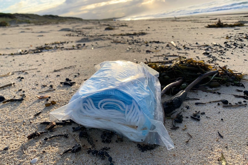 A packet of face masks were found at Magenta Beach